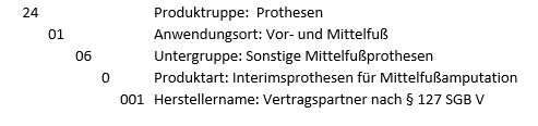 Auszug des Hilfsmittelverzeichnisses: Produktgruppe 24 Prothesen.