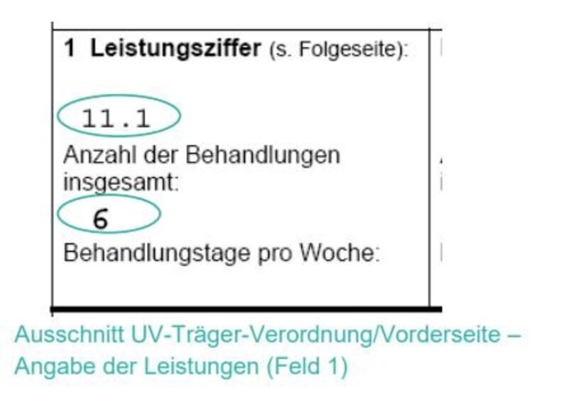 Ausschnitt UV-Träger-Verordung/Vorderseite – Angabe der Leistungen (Feld 1)