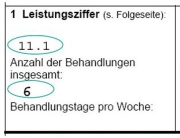 Ausschnitt UV-Träger-Verordung/Vorderseite – Angabe der Leistungen (Feld 1)
