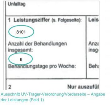 Ausschnitt UV-Träger-Verordnung/Vorderseite – Angabe der Leistngen (Feld 1)